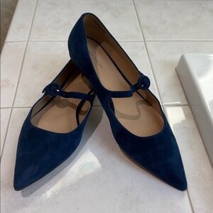 Ann Taylor Navy Suede Mary Jane/ Ballerina Pointed Flats